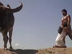 Так хорошие шаги Вероника Родригес осла на диване